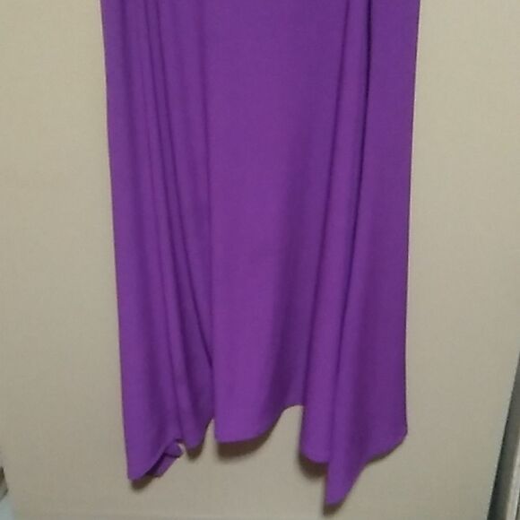 !!LIKE New Chico's Silky Soft Sleeveless Party Dress Size 1 Petite - Picture 4 of 6